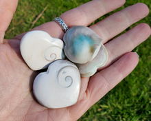 Load image into Gallery viewer, Shiva Shell Heart