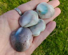 Load image into Gallery viewer, Shiva Shell Heart