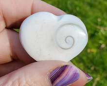 Load image into Gallery viewer, Shiva Shell Heart