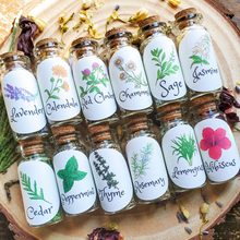 Load image into Gallery viewer, Small Apothecary Herb Bottles for Rituals, Spells, Green Magick, and More!