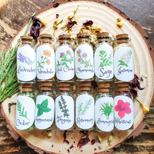 Load image into Gallery viewer, Small Apothecary Herb Bottles for Rituals, Spells, Green Magick, and More!