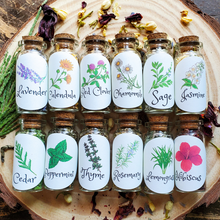 Load image into Gallery viewer, Small Apothecary Herb Bottles for Rituals, Spells, Green Magick, and More!