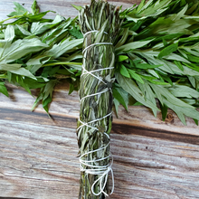 Load image into Gallery viewer, Organic mugwort smudge sticks