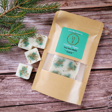 Load image into Gallery viewer, Holiday Scented Soy Wax Melts