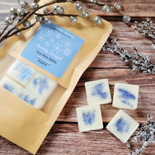 Load image into Gallery viewer, Holiday Scented Soy Wax Melts