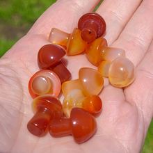 Load image into Gallery viewer, Mini Carnelian Mushroom - Crystal Mushroom