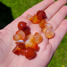 Load image into Gallery viewer, Mini Carnelian Mushroom - Crystal Mushroom