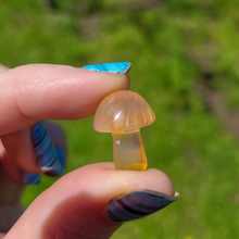 Load image into Gallery viewer, Mini Carnelian Mushroom - Crystal Mushroom