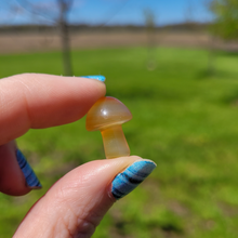 Load image into Gallery viewer, Mini Carnelian Mushroom - Crystal Mushroom