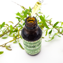 Load image into Gallery viewer, Willow Oil for Moon Magic - Ritual Oil - Massage Oil - Organic - Vegan