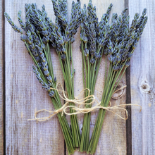 Load image into Gallery viewer, Dried lavender stems