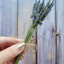 Load image into Gallery viewer, Mini Dried Lavender Bundle - 15 Stems Dried Lavender Flowers