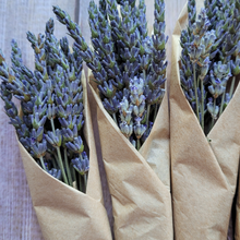 Load image into Gallery viewer, Small bundle of dried lavender stems