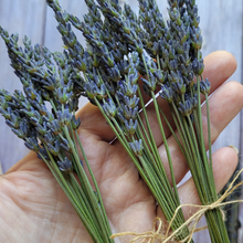 Load image into Gallery viewer, Dried lavender stems