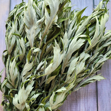 Load image into Gallery viewer, Dried mugwort stems