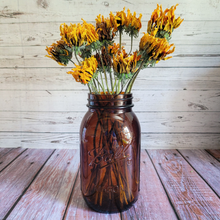 Load image into Gallery viewer, Dried Rudbeckia Flowers on Stems - Black Eyed Susan