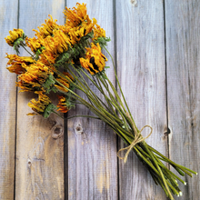 Load image into Gallery viewer, Dried Rudbeckia Flowers on Stems - Black Eyed Susan