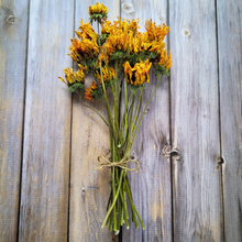 Load image into Gallery viewer, Dried Rudbeckia Flowers on Stems - Black Eyed Susan
