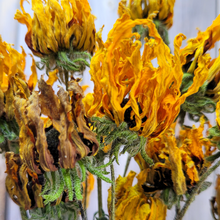 Load image into Gallery viewer, Dried Rudbeckia Flowers on Stems - Black Eyed Susan