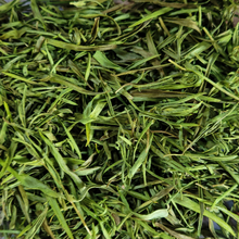 Load image into Gallery viewer, Organic Dried Tarragon Leaf - 1 oz Jar