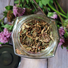 Load image into Gallery viewer, Organic Red Clover - Dried Red Clover Flowers