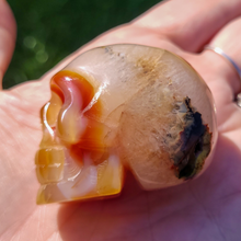 Load image into Gallery viewer, Carnelian Skull 2.5 inch - Carved Carnelian Gemstone Skull