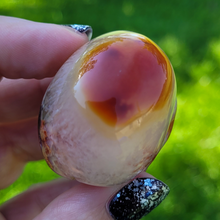 Load image into Gallery viewer, Carnelian Skull 2.5 inch - Carved Carnelian Gemstone Skull