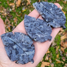 Load image into Gallery viewer, Larvikite Leaf Carving - Larvikite Gemstone Leaf