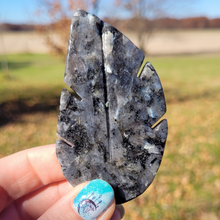 Load image into Gallery viewer, Larvikite Leaf Carving - Larvikite Gemstone Leaf