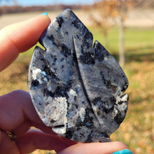 Load image into Gallery viewer, Larvikite Leaf Carving - Larvikite Gemstone Leaf