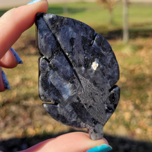 Load image into Gallery viewer, Larvikite Leaf Carving - Larvikite Gemstone Leaf