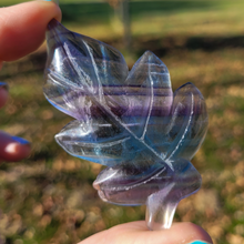 Load image into Gallery viewer, Rainbow Fluorite Leaf Carving - Rainbow Fluorite Crystal Leaf