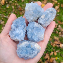 Load image into Gallery viewer, Celestite Geode Druzy Cluster - 2-3 inch