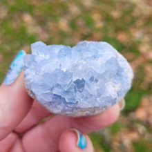 Load image into Gallery viewer, Celestite Geode Druzy Cluster - 2-3 inch