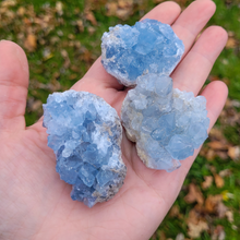 Load image into Gallery viewer, Celestite Geode Druzy Cluster - 2-3 inch
