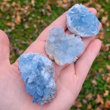 Load image into Gallery viewer, Celestite Geode Druzy Cluster - 2-3 inch