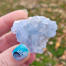 Load image into Gallery viewer, Celestite Geode Druzy Cluster - 2-3 inch