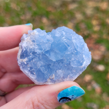 Load image into Gallery viewer, Celestite Geode Druzy Cluster - 2-3 inch