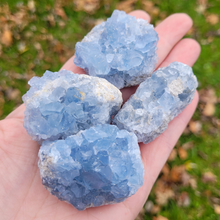 Load image into Gallery viewer, Celestite Geode Druzy Cluster - 2-3 inch