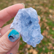 Load image into Gallery viewer, Celestite Geode Druzy Cluster - 2-3 inch