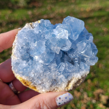 Load image into Gallery viewer, Celestite Druzy Geode Cluster