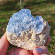 Load image into Gallery viewer, Celestite Druzy Geode Cluster