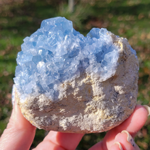 Load image into Gallery viewer, Celestite Druzy Geode Cluster