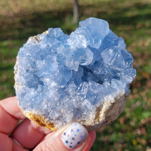 Load image into Gallery viewer, Celestite Druzy Geode Cluster