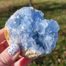 Load image into Gallery viewer, Celestite Druzy Geode Cluster