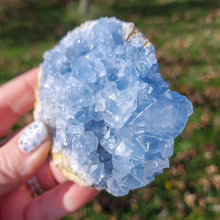 Load image into Gallery viewer, Celestite Druzy Geode Cluster