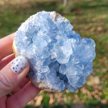 Load image into Gallery viewer, Celestite Druzy Geode Cluster