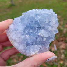 Load image into Gallery viewer, Celestite Druzy Geode Cluster