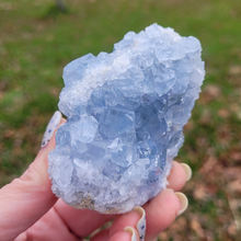 Load image into Gallery viewer, Celestite Druzy Geode Cluster