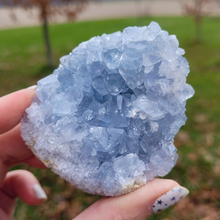 Load image into Gallery viewer, Celestite Druzy Geode Cluster